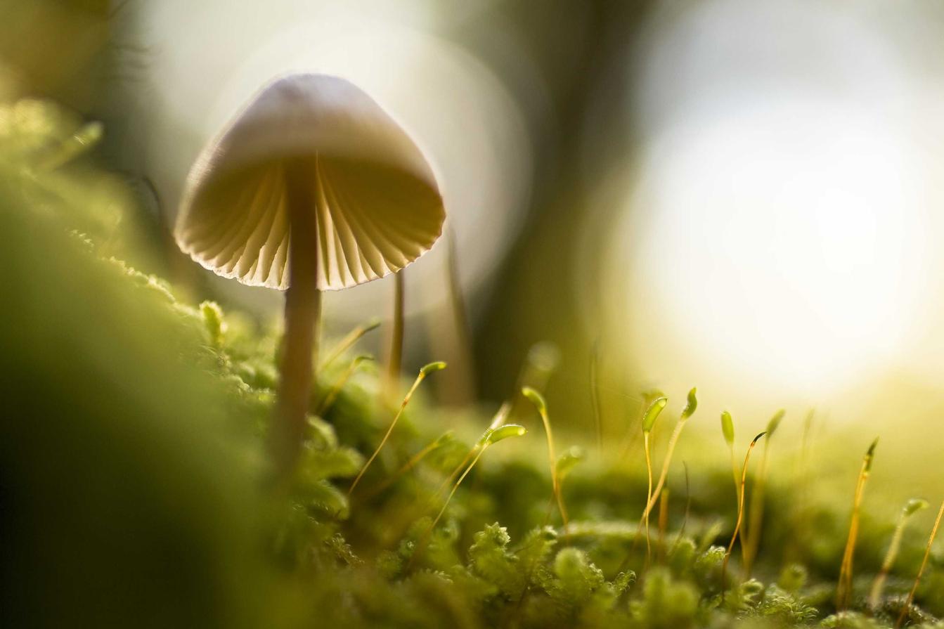 Consectetur fuga accusamus saepe