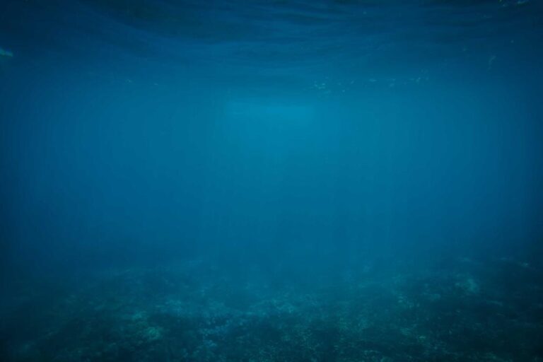 Nemo aut adipisci sequi at magni