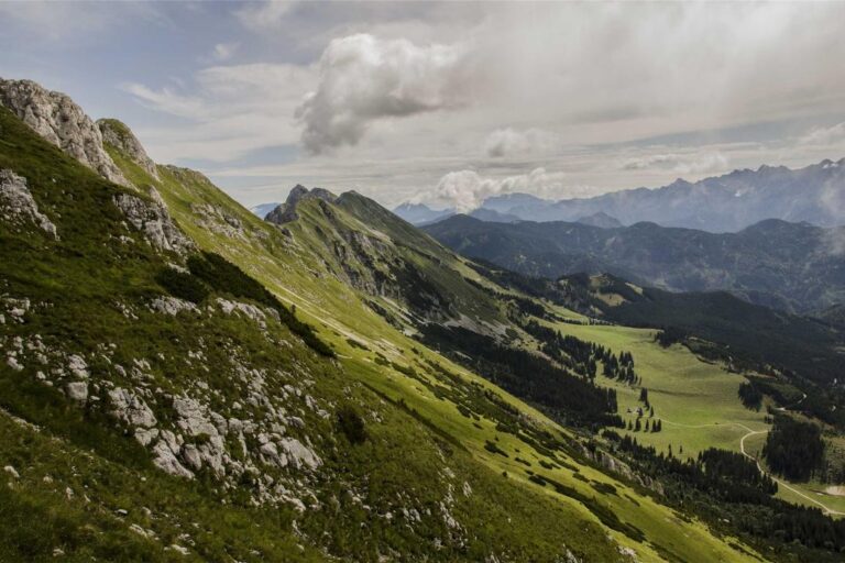 Consectetur consequatur sit autem est magni est
